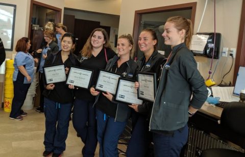 67940038_2444943942192647_8532675041492467712_o