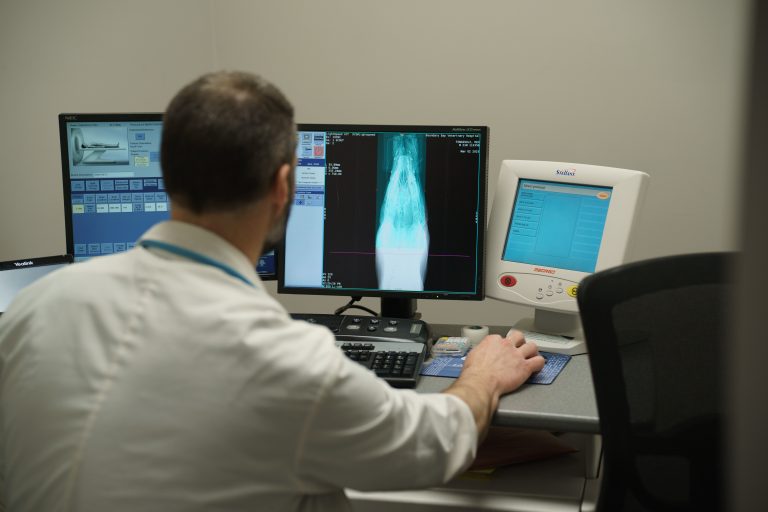 A veterinary professional, seated at a workstation, examines detailed CT scan imagery displayed on a dual-monitor setup.