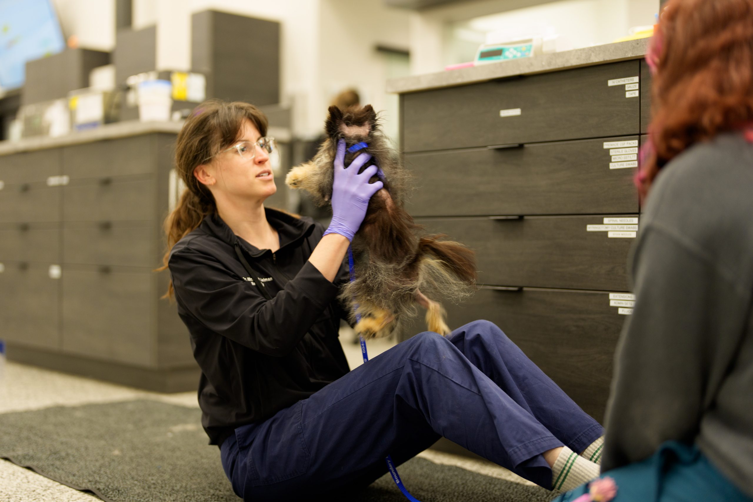Dr. Elizabeth Meiman – Neurologist, with a canine patient