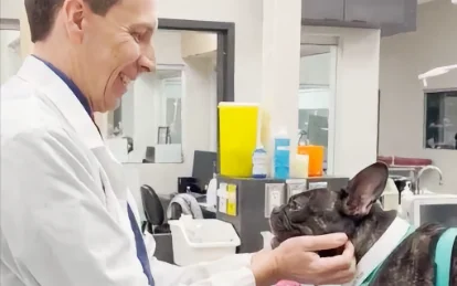 Dr. Peter Gordon, DVM, DACVIM (Neurology), Board-certified Neurologist smiling at a canine patient