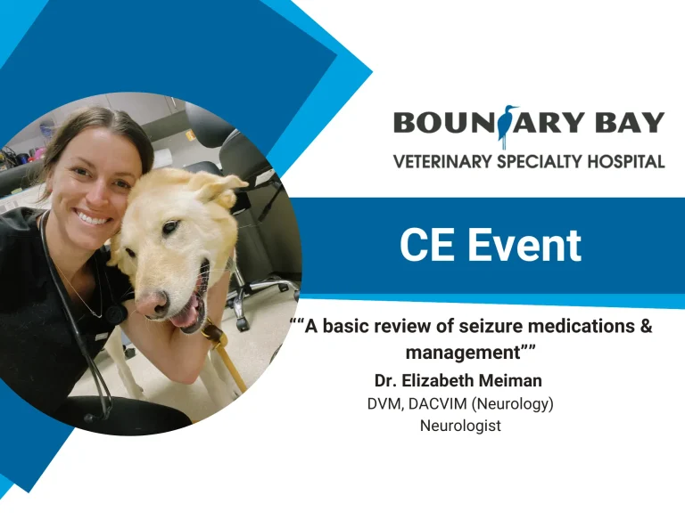 CE Event - A Basic Review of Seizure Medications and Management