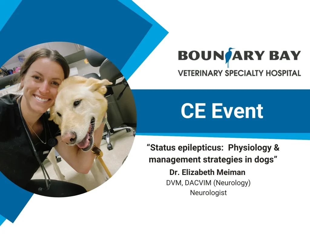 CE Event - A Basic Review of Seizure Medications and Management