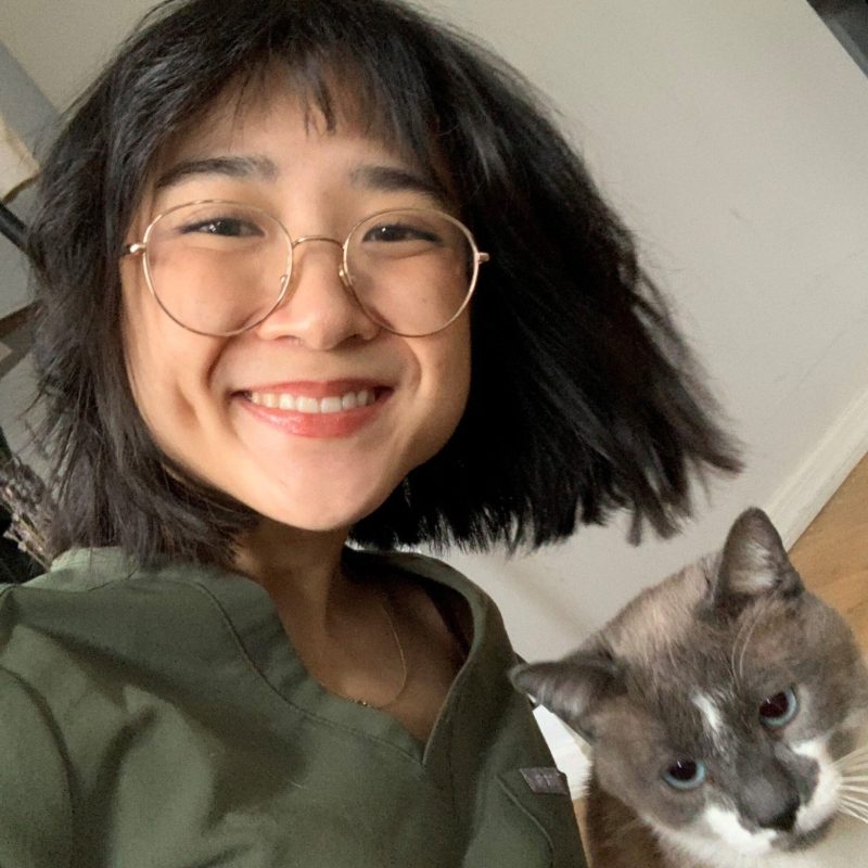 Dr. Angela Yu, Emergency Veterinarian at Boundary Bay Veterinary Specialty Hospital, smiling in green scrubs with a grey and white cat