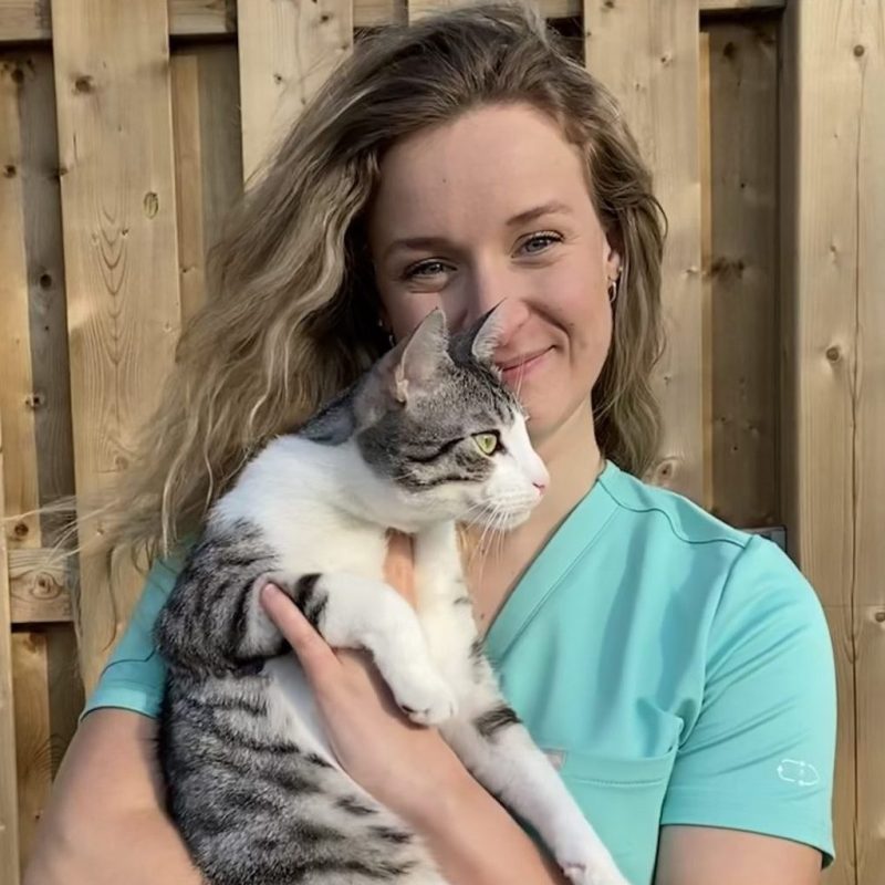 Dr. Celeste Noble, Emergency Veterinarian at Boundary Bay Veterinary Specialty Hospital, holding a gray and white cat outdoors