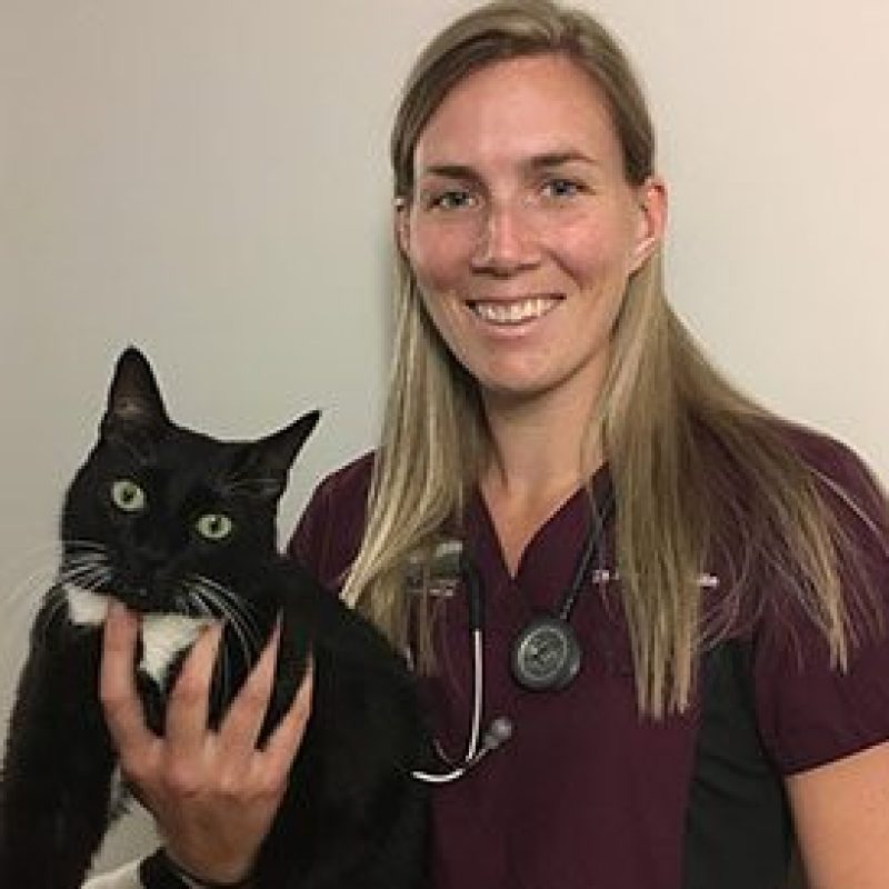 Dr. Deanna White, Emergency Veterinarian at Boundary Bay Veterinary Specialty Hospital, smiling in burgundy scrubs with a black and white cat