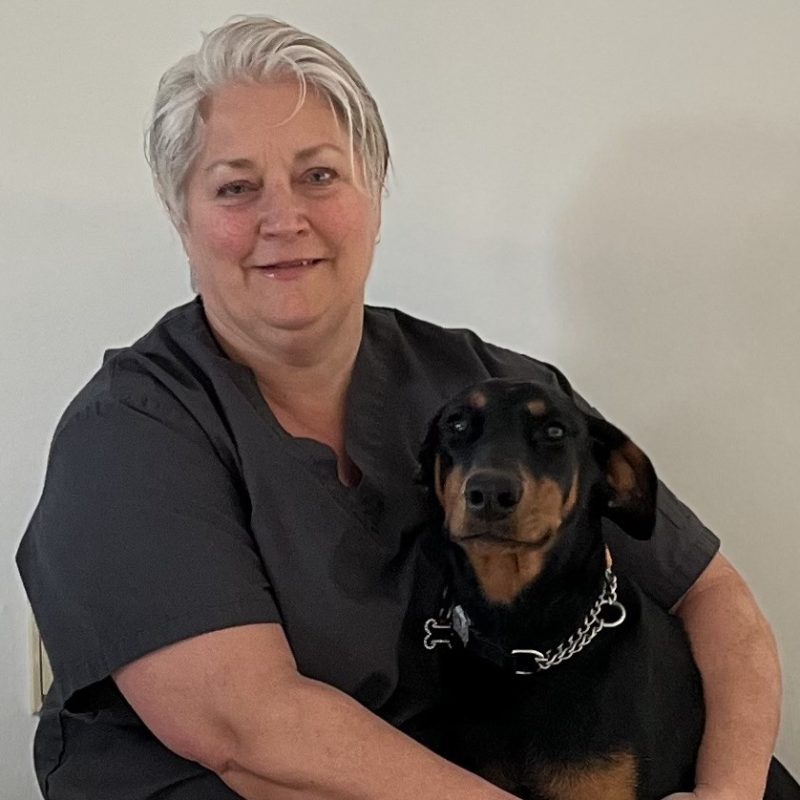 Dr. Judy Rochette, DVM, DAVDC, Dentist and Oral Surgeon, smiling while holding a black and tan dog in her lap, wearing a dark scrub top, against a light background.