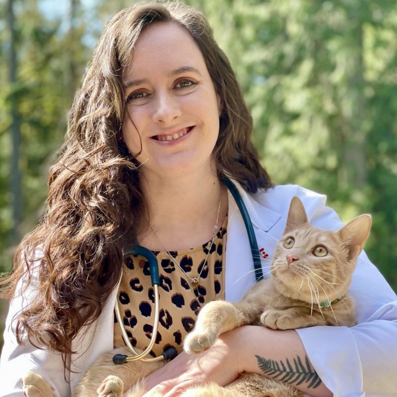 Dr. Fierman